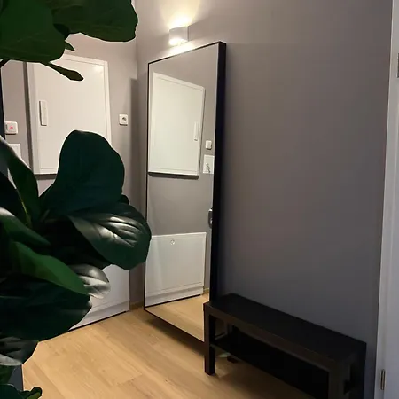 Apartmán Hansehaus - Penthouse *